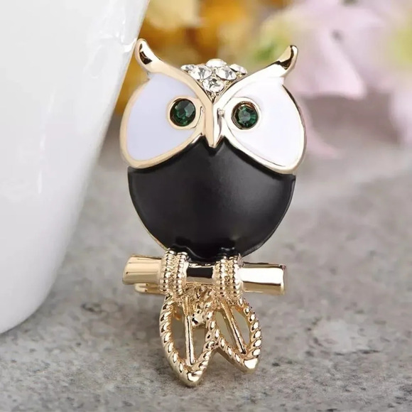 VQ Enamel Owl Bird Brooch - Picture 1 of 6